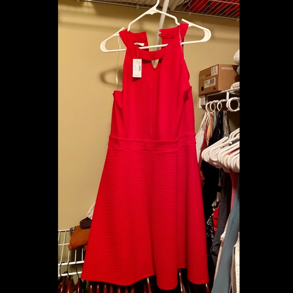 Brand new Maurices Dress sz Lg